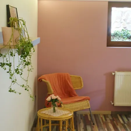 Rianas Utca Palkove Apartament *