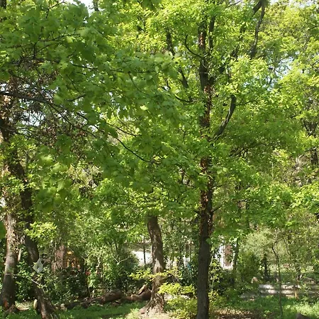 Rianas Utca Palkove Apartament Balatonrendes